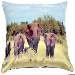 Digital Cushion Covers (Set of 2)